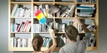 Кішка та таргани як не нашкодити своєму улюбленцю кішка