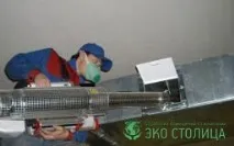 Щури у вентиляції - що робити вентиляції