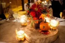 Креативний весільний декор гарбузами - TopWedding гарбузами