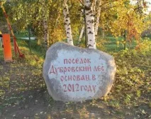 Котеджне селище Дубровський ліс (Ярославське шосе) – будинки, ділянки шосе