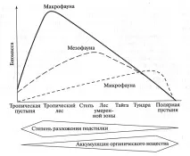 гори