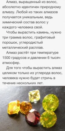 Найкращі друзі дівчат - це найкращі