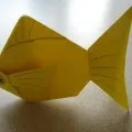 рибка
