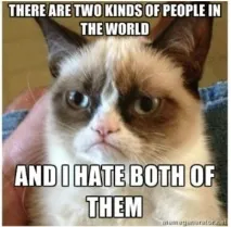 Мем - Grumpy Cat Поки