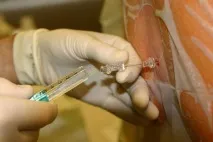Мієліт спинного мозку, наслідки гострого запалення, симптоми та лікування спинного