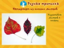 Натюрморт з осіннім листям три майстер-класи для дітей натюрморт
