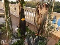 О море, море! Фарби нашого відпочинку, Блог Ірини Зайцевої нашого