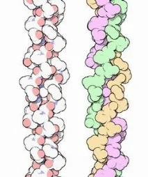 колаген