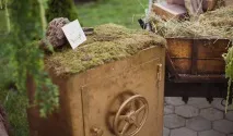організація