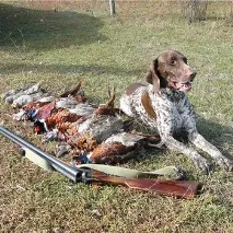 відео