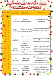 Осіння обробка дерев від шкідників та хвороб шкідників