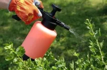 Перекис водню для рослин та насіння рослин