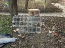 Перегородка в багажнику для собаки зробити