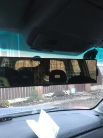 Перегородка в багажнику для собаки багажнику