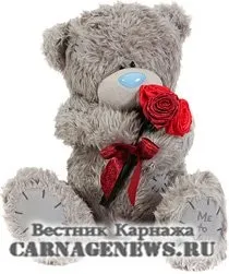 Плюшева країна щасливий світ ведмедів Тедді країна