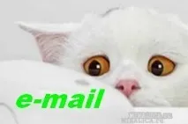 Плюшки e-mail - як користуватися своєю ел. своєю