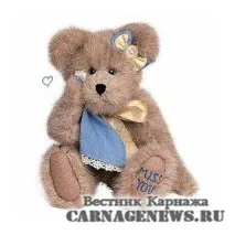 Плюшева країна щасливий світ ведмедів Тедді плюшева