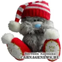 Плюшева країна щасливий світ ведмедів Тедді країна