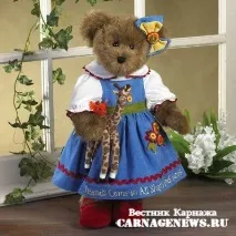 Плюшева країна щасливий світ ведмедів Тедді щасливий