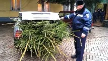 правильне