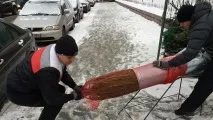 новорічної