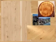 породи
