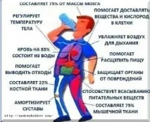 Користь води натще для організму - пиття води вранці для схуднення організму