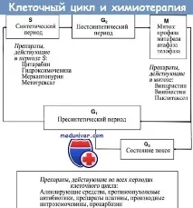 Причини стійкості пухлинних клітин до хіміотерапії пухлинних