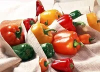Природні статини від холестерину користь та шкода користь