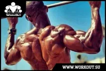 Програма підтягувань Льюїса Армстронга - WorkOut (стор. льюїса