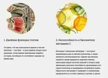 Про недосконалість людського тіла буде