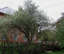 Прощання з вітчим будинком (На ст. Прощання