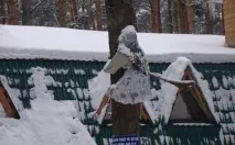 пізнання