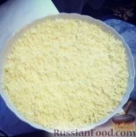 Салат Мімоза, рецепти з фото на 51 рецепт салату Мімоза салат