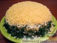 Салат Мімоза, рецепти з фото на 51 рецепт салату Мімоза рецепти