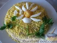Салат Мімоза, рецепти з фото на 51 рецепт салату Мімоза рецепти