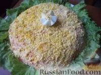 Салат Мімоза, рецепти з фото на 51 рецепт салату Мімоза рецепти