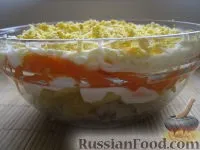 Салат Мімоза, рецепти з фото на 51 рецепт салату Мімоза мімоза