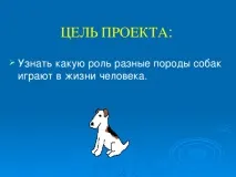 Роль собак у житті людей - початкові класи, презентації собак