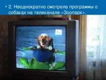 Роль собак у житті людей - початкові класи, презентації собак