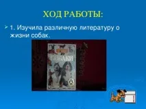 Роль собак у житті людей - початкові класи, презентації житті