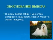 Роль собак у житті людей - початкові класи, презентації собак