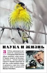 наука