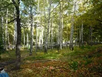 Санаторій Жовтнева ущелина санаторій
