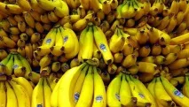 Скільки в банані білка фрукт