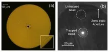 Створено новий тип оптичного пінцету, Нанотехнології Nanonewsnet пінцету