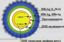 характеристика