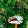 Сценарій свята «Дитинство, дитинство Антошка