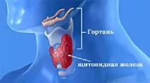 Тиреотоксикоз, гіпотиреоз щитовидної залози, вузли тиреотоксикоз