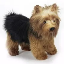 The Dog Collection №40 - Йоркширський тер’єр Йоркширський